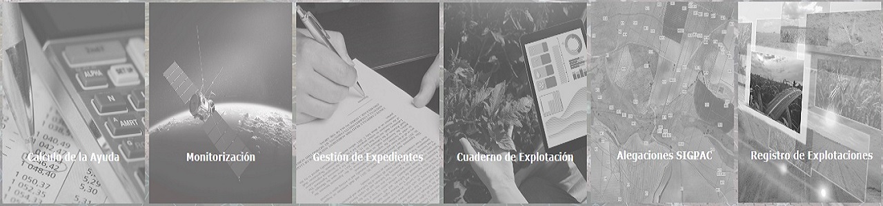 Gestionamos su cuaderno de explotación digital CUE